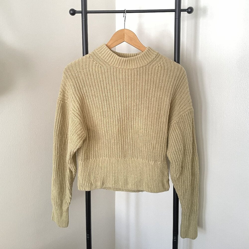 Everlane cotton sweater in light green